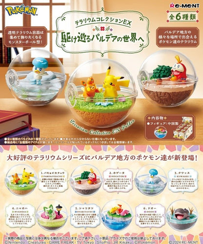 Pokemon Terrarium Collection ex Paldea Blind Box